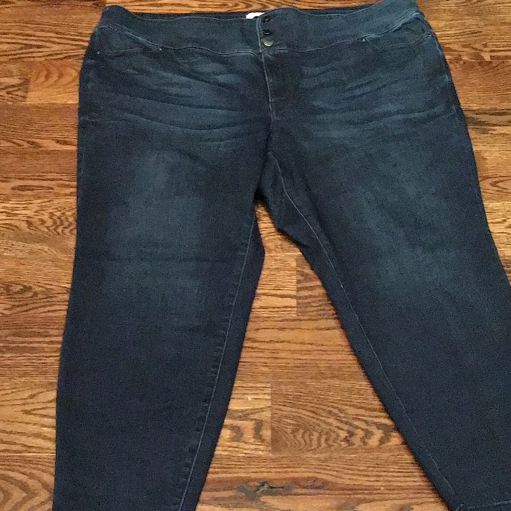 Lane Bryant three button zipper down Jeans